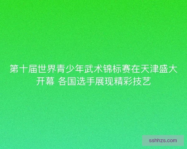第十届世界青少年武术锦标赛在天津盛大开幕 各国选手展现精彩技艺