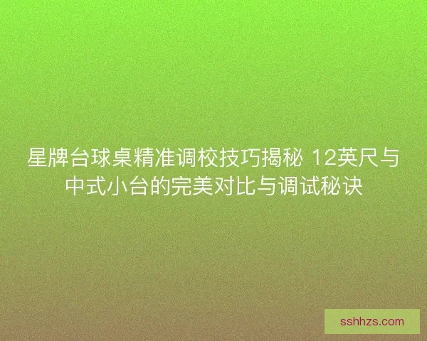 星牌台球桌精准调校技巧揭秘 12英尺与中式小台的完美对比与调试秘诀