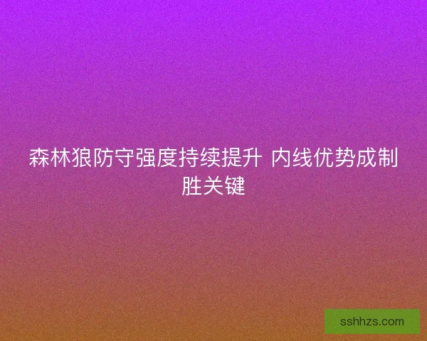 森林狼防守强度持续提升 内线优势成制胜关键